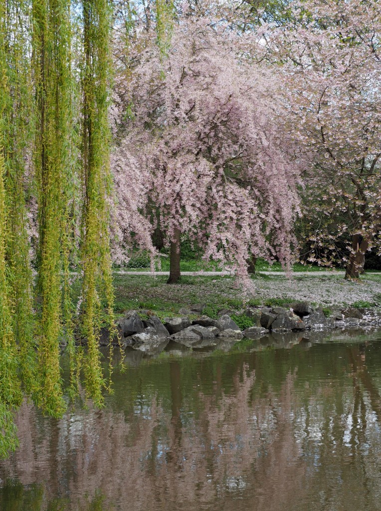 Spring in Bayreuth